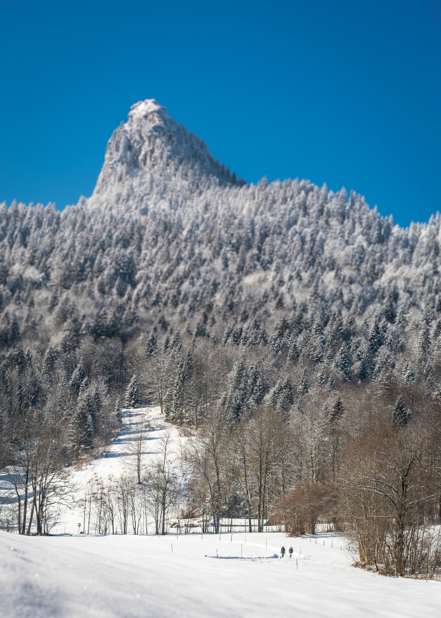 Tegernsee News März