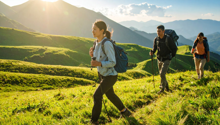 Firefly_Hikers trekking in sunny mountain meadow with green hills and blue mountains in the b 778417