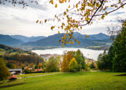 Tegernsee Nachrichten August